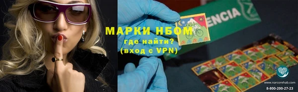 ПСИЛОЦИБИНОВЫЕ ГРИБЫ Гусиноозёрск