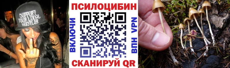 Псилоцибиновые грибы мухоморы OMG как зайти Дюртюли