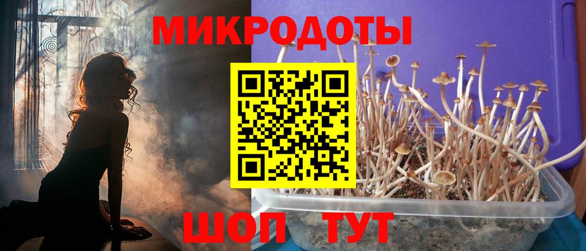 Псилоцибиновые грибы Psilocybine cubensis Дюртюли
