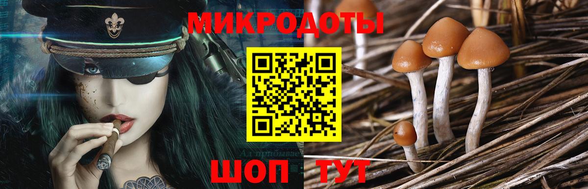 Дюртюли  Галлюциногенные грибы мицелий  Вход с VPN 